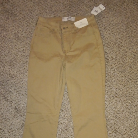 Hollister Denim - Hollister Women's Flare Jeans in Tan